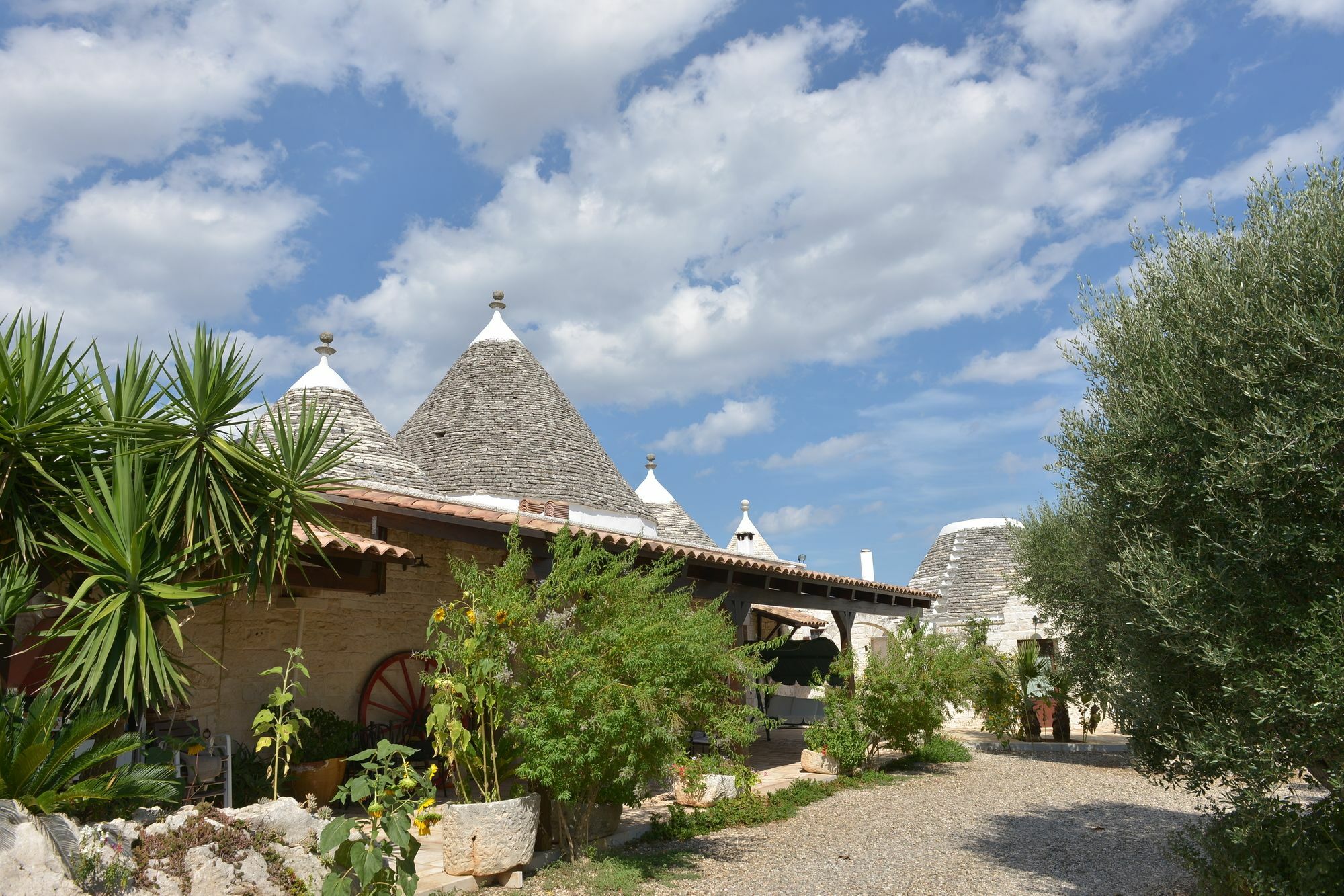 Masseria Pentima Vetrana Resort Alberobello Exteriör bild
