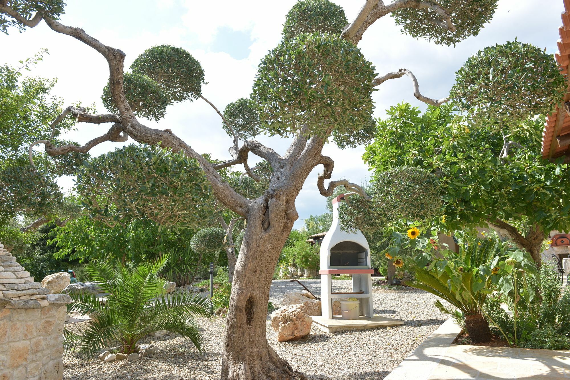 Masseria Pentima Vetrana Resort Alberobello Exteriör bild